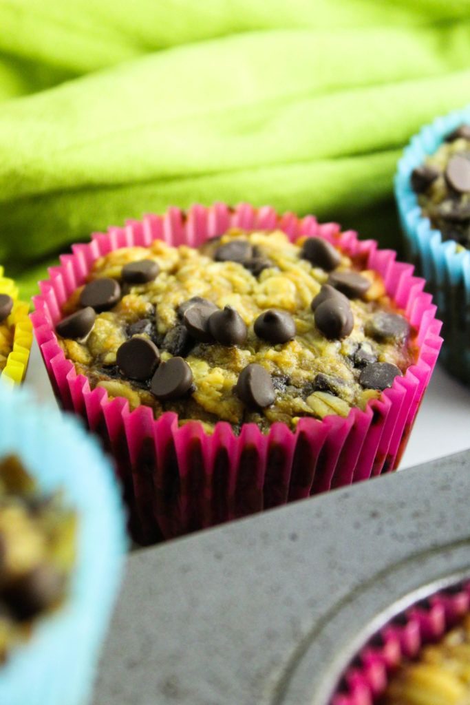 Easy Chocolate Chip Oatmeal Breakfast Cups