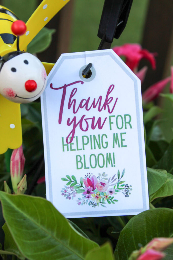 Thank You for Helping Me Bloom Teacher Gift Free Printable