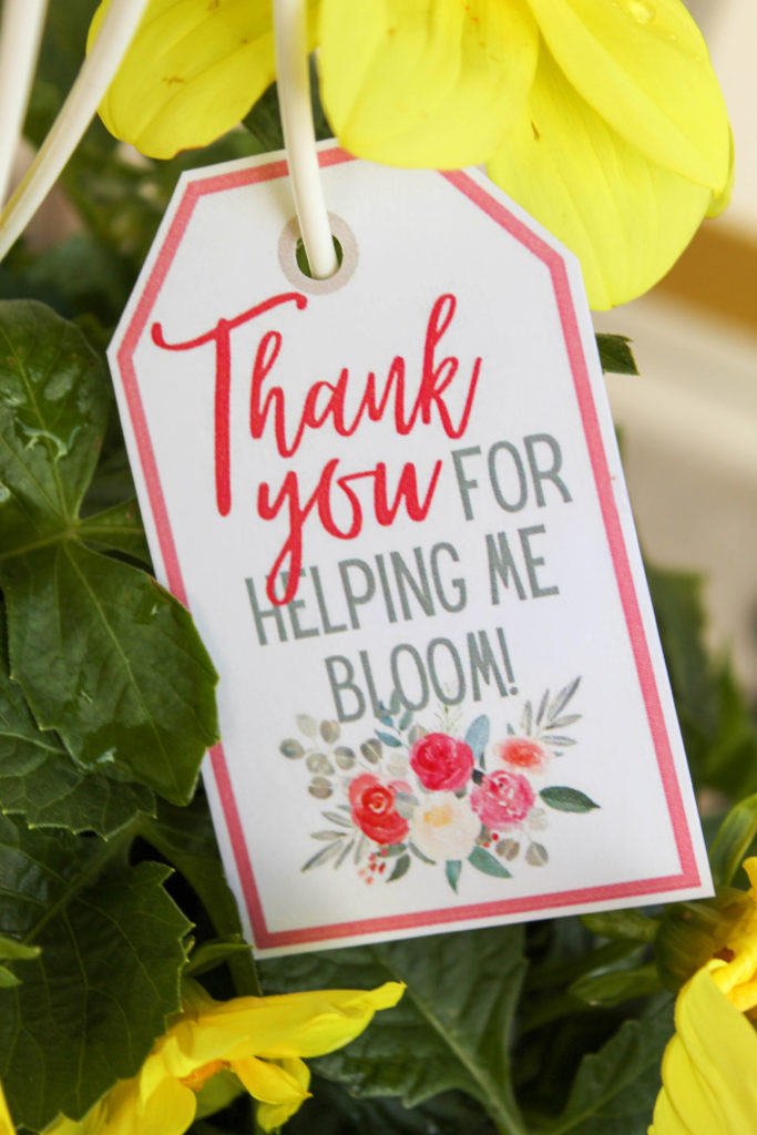 Thank You for Helping Me Bloom Teacher Gift Free Printable