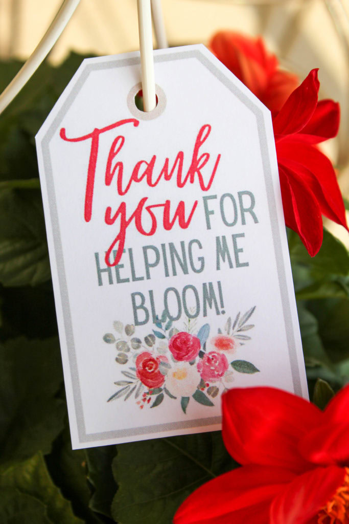 Thank You for Helping Me Bloom Teacher Gift Free Printable