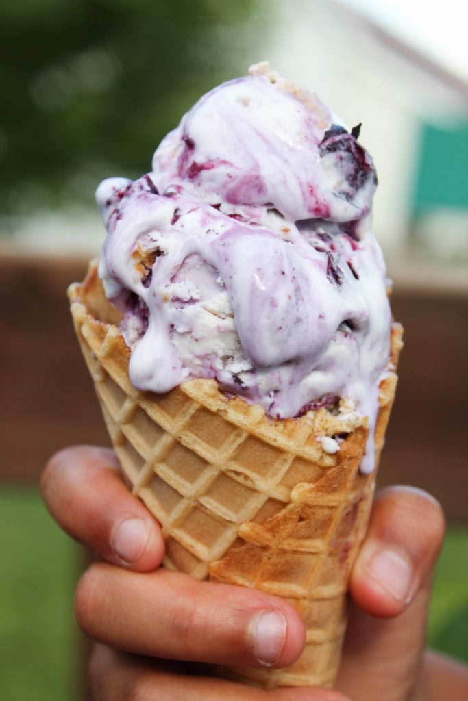 No Churn Blueberry Cheesecake Ice Cream