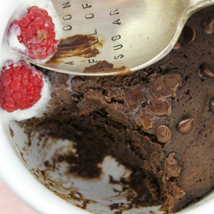 Healthy Chocolate Mug Brownie