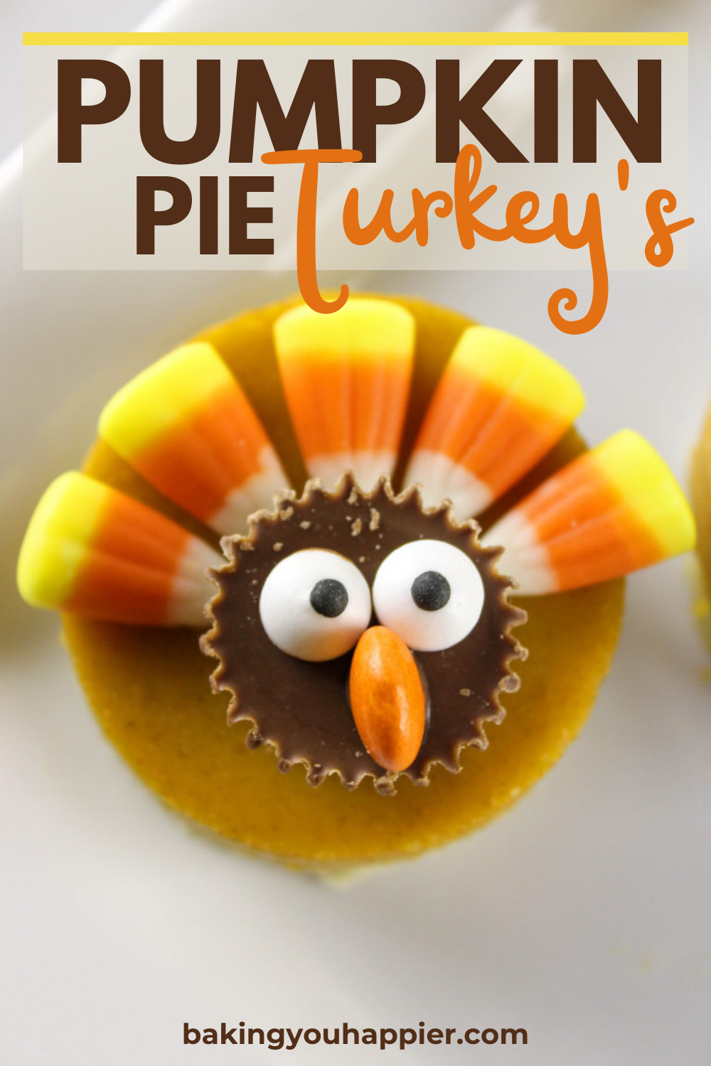 Thanksgiving Pumpkin Pie Turkeys Baking You Happier