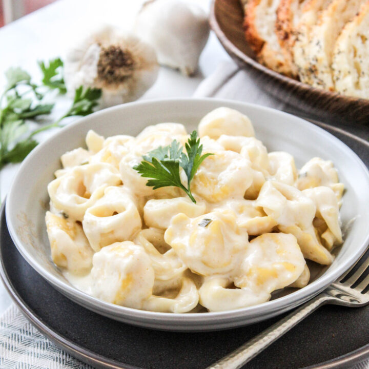 Tortellini Alfredo