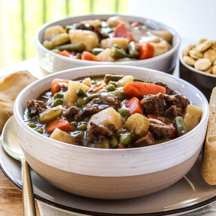 Vegetarian Beef Stew