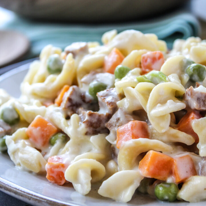 Vegetarian Chicken Pot Pie Noodle Skillet