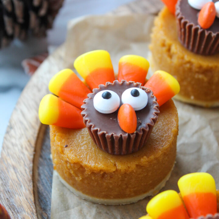 Thanksgiving Pumpkin Pie Turkeys