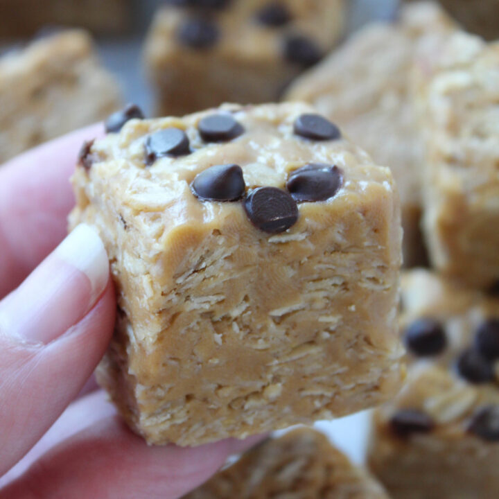 No Bake Peanut Butter Oat Bites