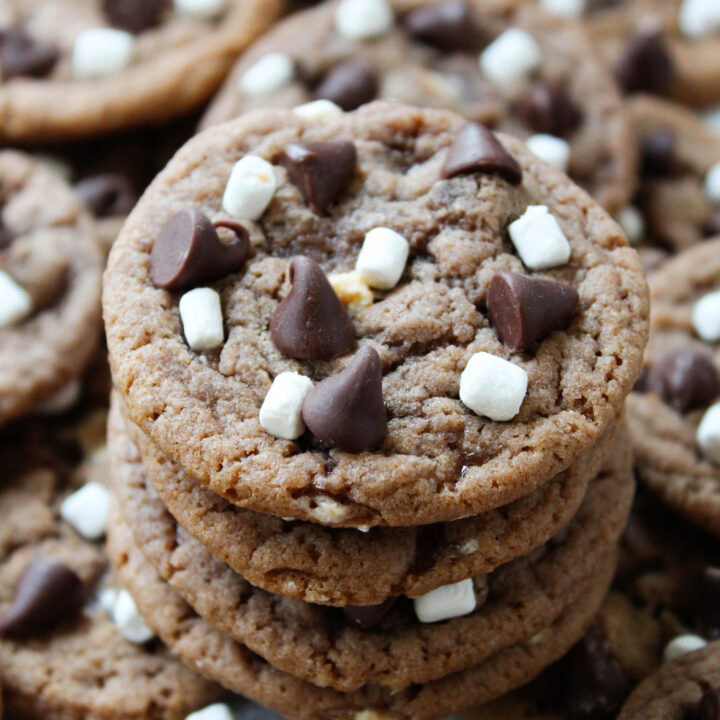 Hot Cocoa Cookies