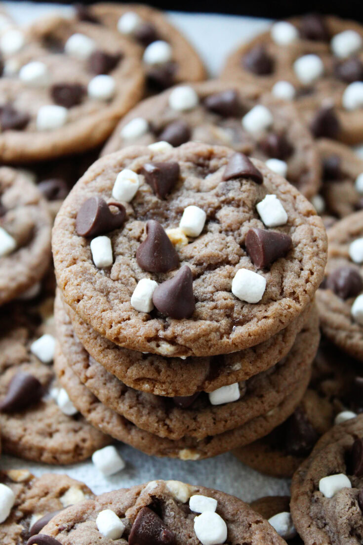 Hot Cocoa Cookies