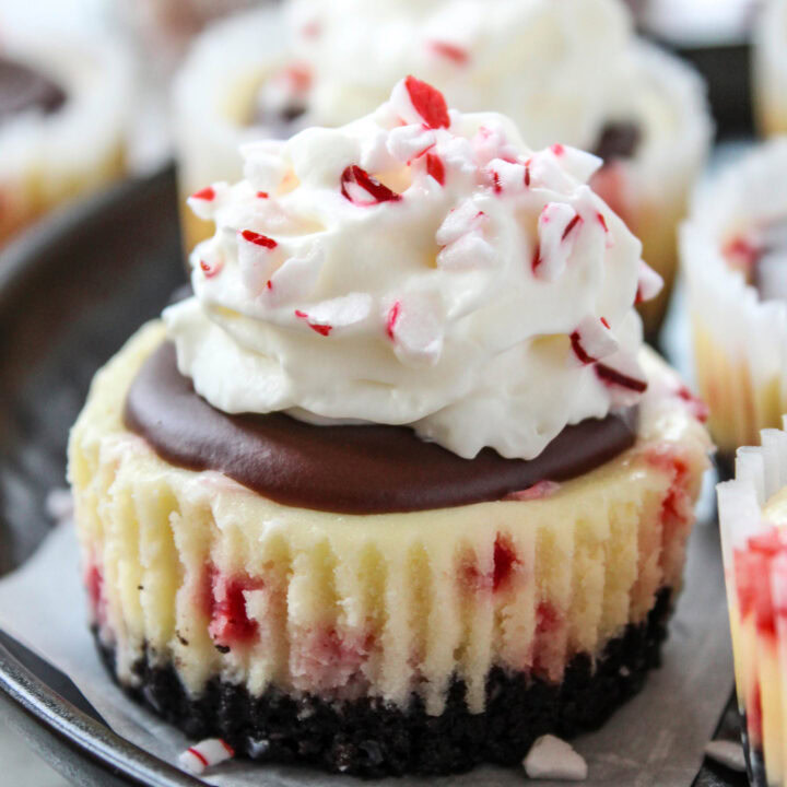 Mini Peppermint Cheesecakes