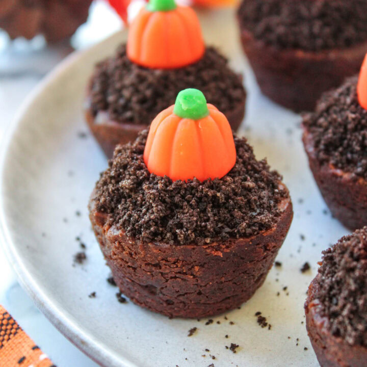 Pumpkin Patch Brownie Bites