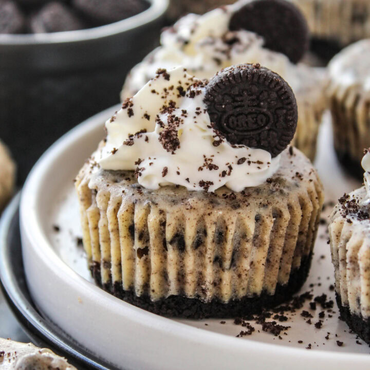 Mini Oreo Cheesecakes