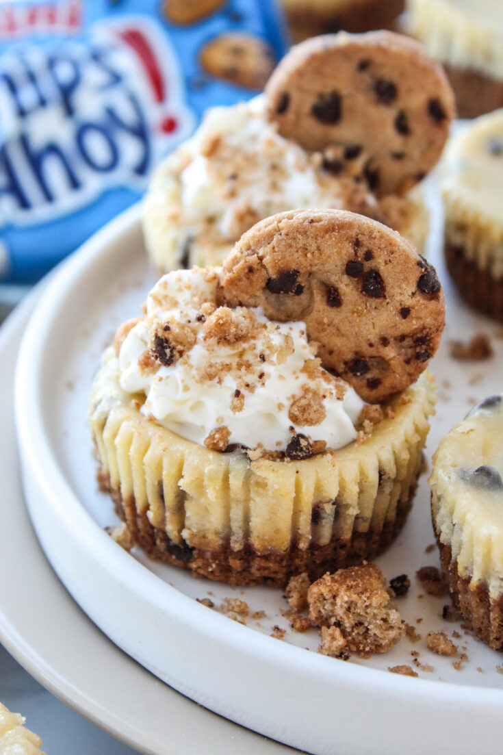 Mini Chocolate Chip Cookie Cheesecakes