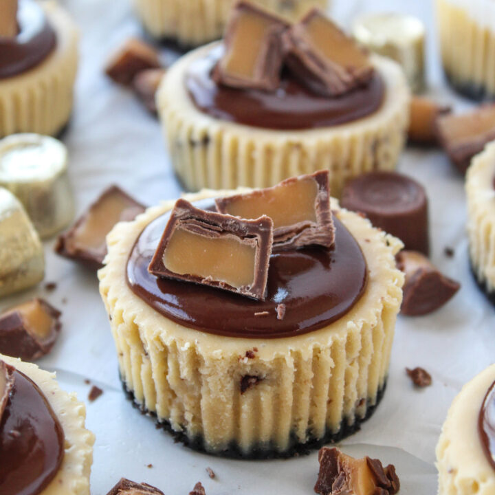 Mini Rolo Cheesecakes