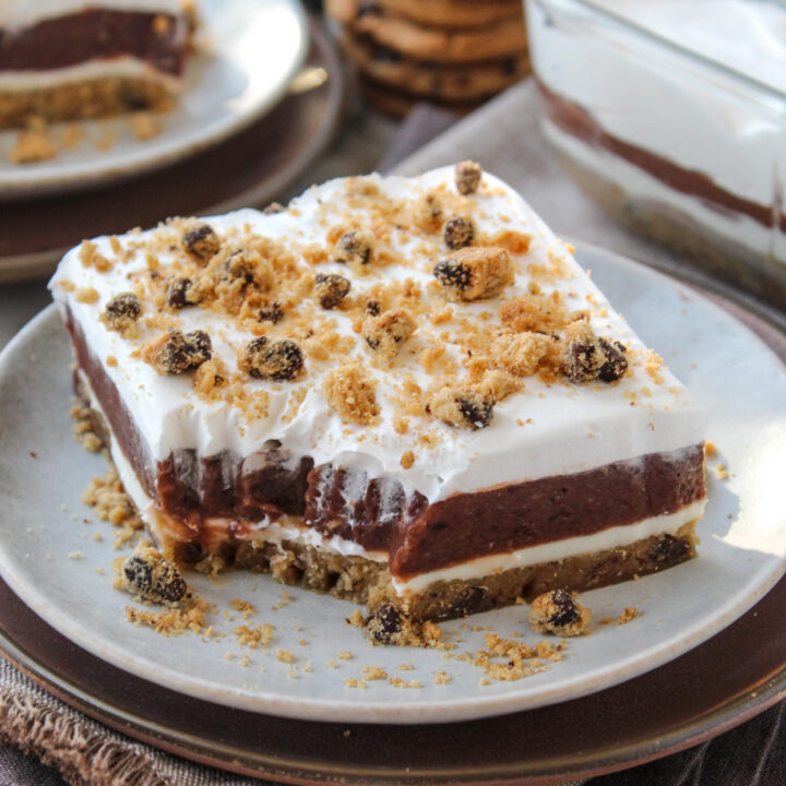 Chocolate Chip Cookie Delight