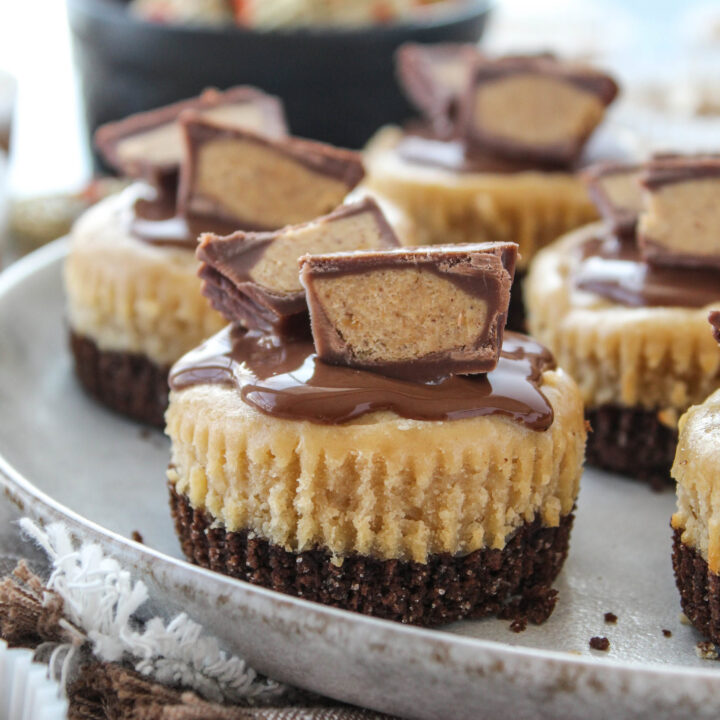 Mini Peanut Butter Cheesecakes