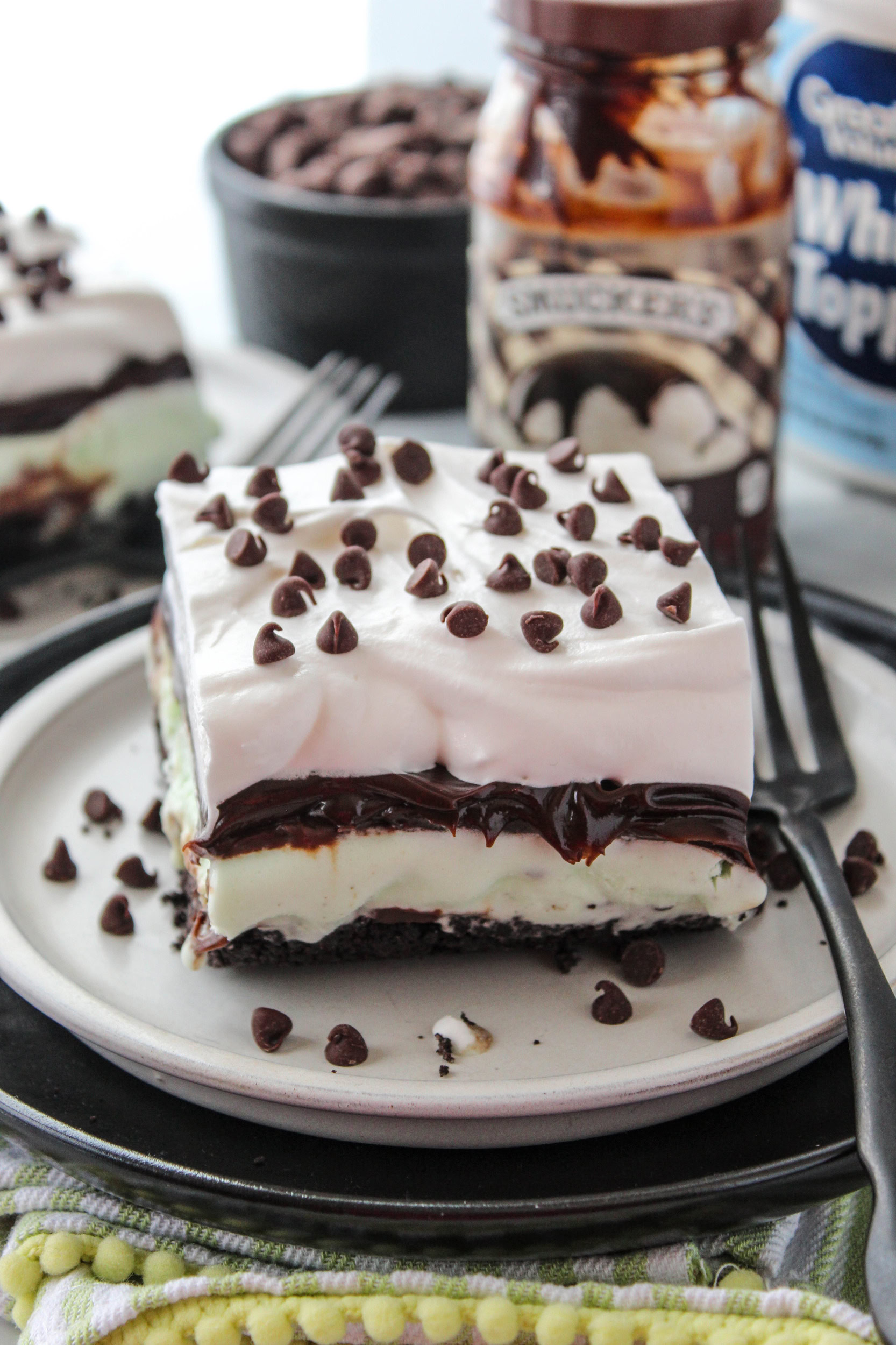Mint Chocolate Chip Ice Cream Cake - Baking You Happier