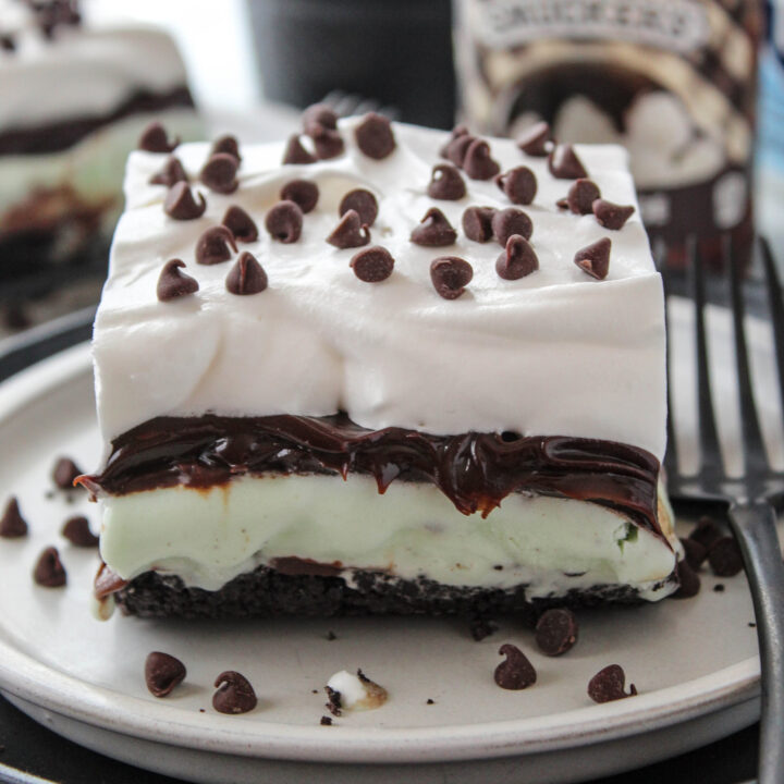 Mint Chocolate Chip Ice Cream Cake