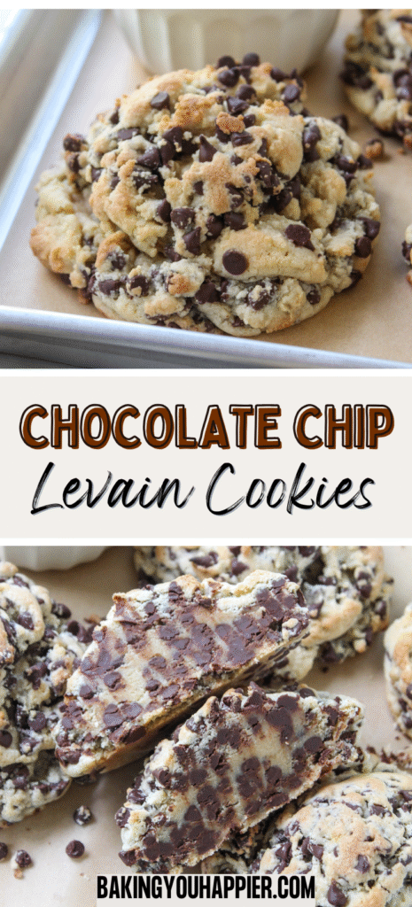 Levain Bakery Chocolate Chip Cookie Recipe
