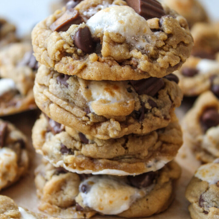 Reese's Marshmallow Chocolate Chip Cookies