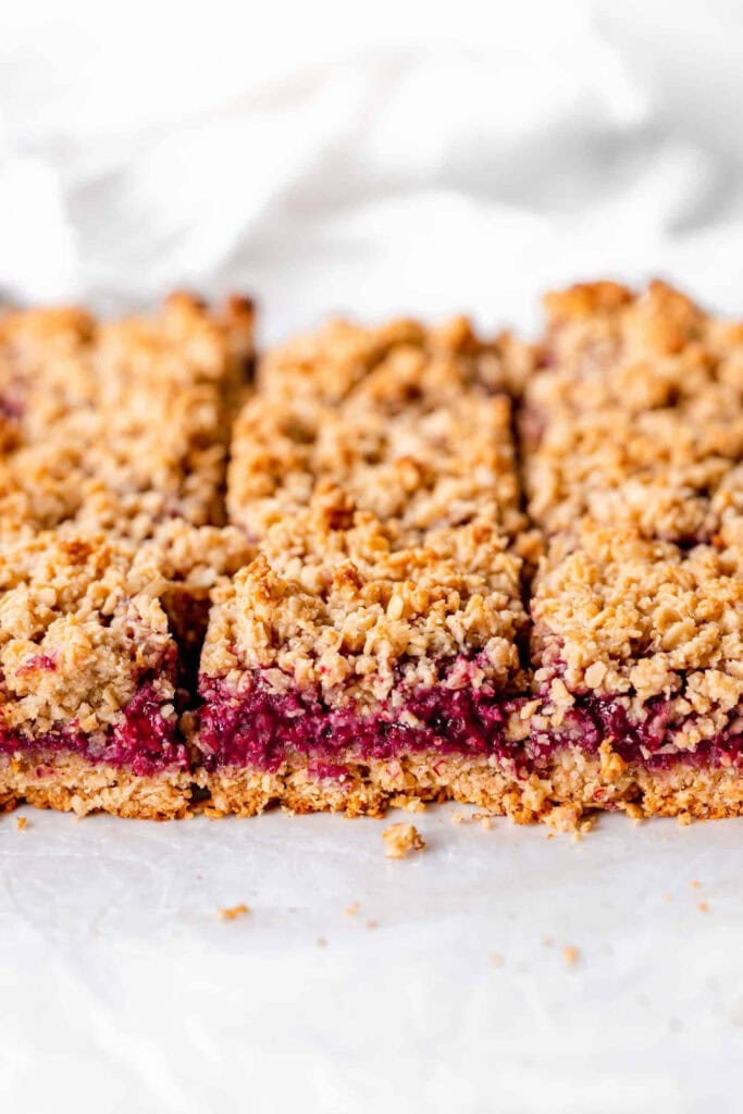 Healthy Blackberry Crumble Bars (Gluten-Free & Vegan)