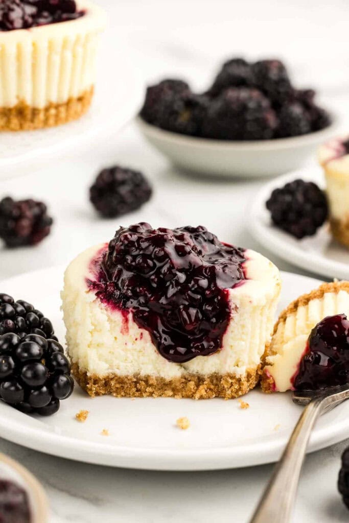 Mini Blackberry Cheesecakes (Baked in Muffin Tin!)