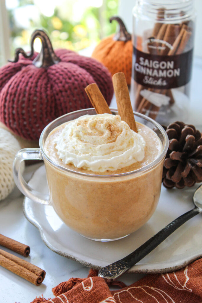 Pumpkin spice hot chocolate topped with whipped cream and cinnamon